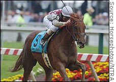 Funny Cide's victory in the Preakness won't be the last win he has for the sport that needs a star to hang around and build public support rather than retire to stud.