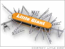 The many uses of the Little Giant
