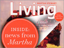 Ad sales and circulation are on the upswing for several Martha Stewart Living Omnimedia publications, most notably at the flagship magazine.