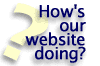 How's our website doing?