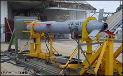Raytheon's Tactical Tomahawk missile can be programmed with as many as 15 targets and change direction after being launched.