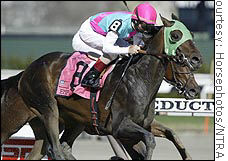 Empire Maker is the favorite in Saturday's Kentucky Derby.