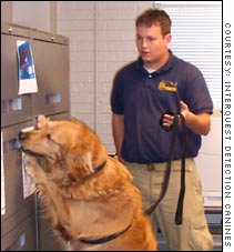 Interquest Detection Canines: Hot on the scent