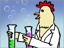 Drugs produced by chickens could be made more cheaply than using traditional bioreactors.